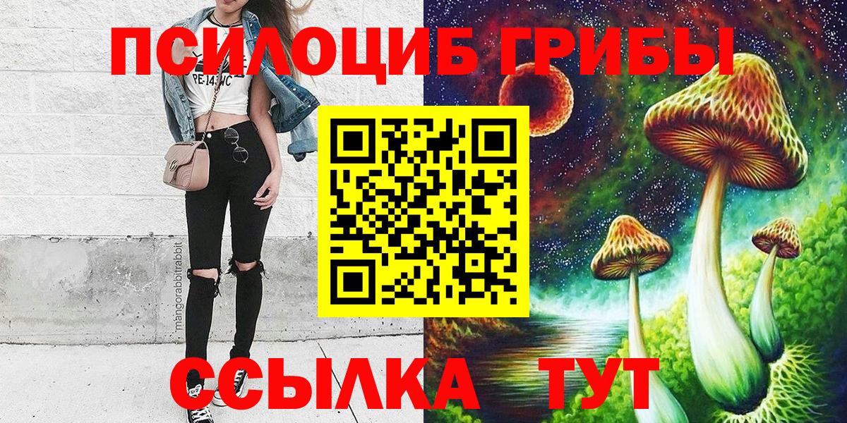 Галлюциногенные грибы Psilocybine cubensis Рязань