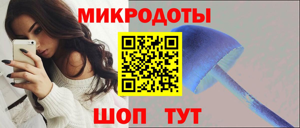 Псилоцибиновые грибы Cubensis  где найти   Рязань  Вход с VPN 
